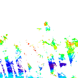 叶绿素 a